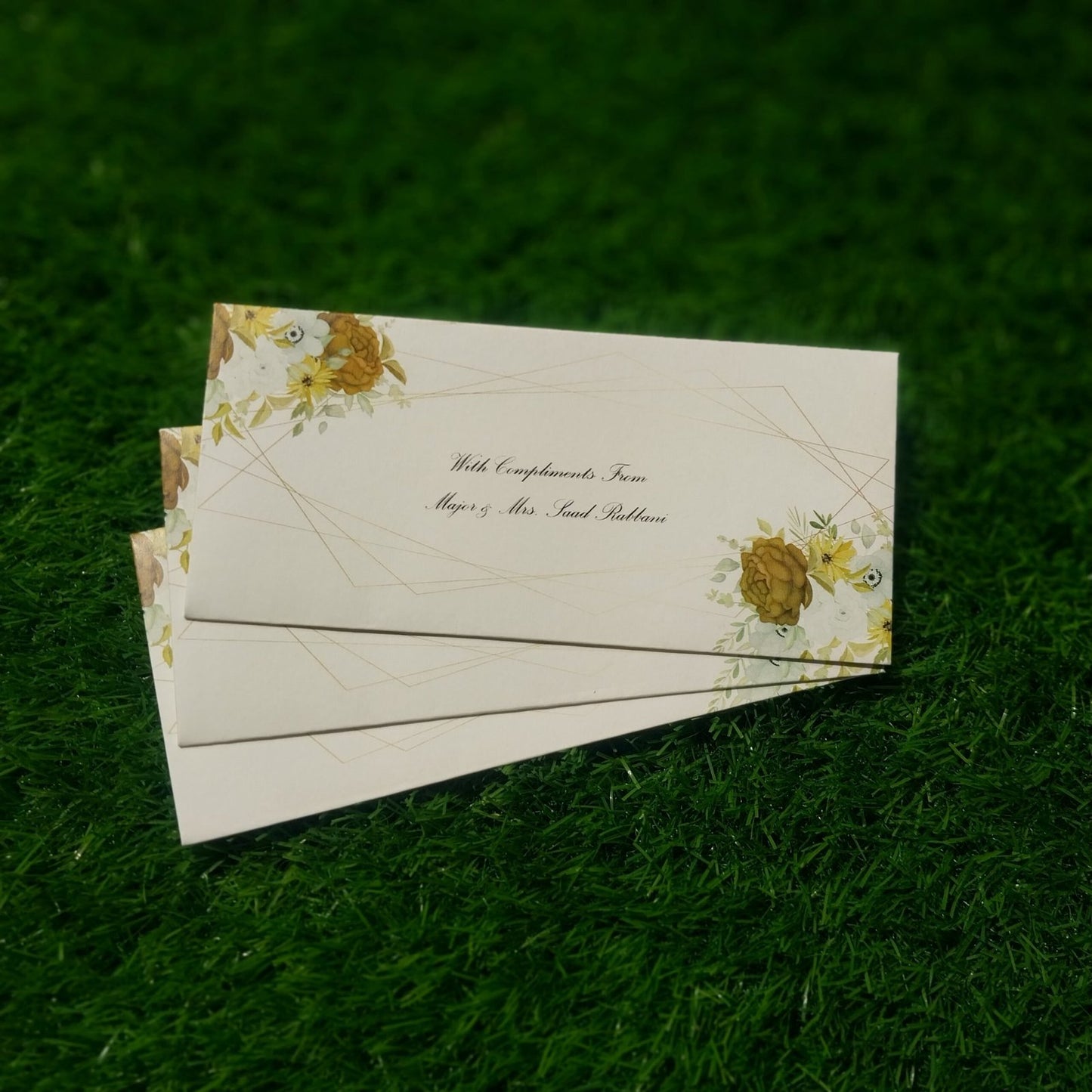 Envelope _ Elp-248